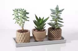 Modern geometric Succulent plant pot 