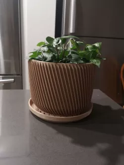 No Supports Plant Pot