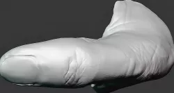 Prosthesis Thumb (Replica) V0.1 - Prótese Polegar Réplica V0.1