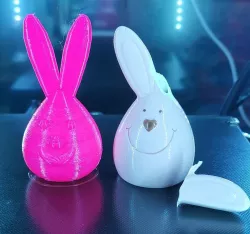 Rabbit
