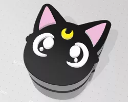 Sailor Moon Luna's Box