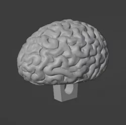 Brain Button