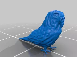 Budgie