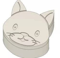 Cat Box