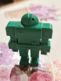 Combat robot