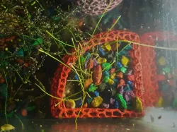 Corner aquarium planter