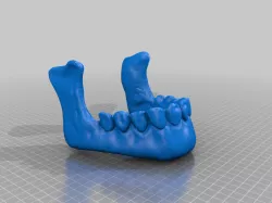 Demon skull (V2) separate jaw and hollow