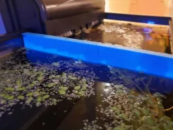 Floating Plant Aquarium Divider 