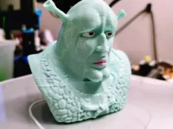 Handsome Shrekward