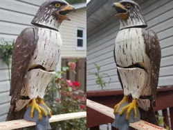 Hawk Decoy with Bobble Motion