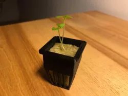 Hydroponics rockwool net cups for 1 inch (2,5 cm) cubes