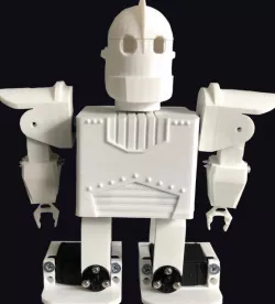 Micro-Humanoid Robot