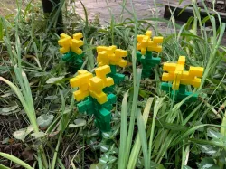 Minecraft Dandelion Flower