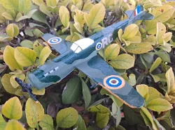 Model Plane - Spit Fire