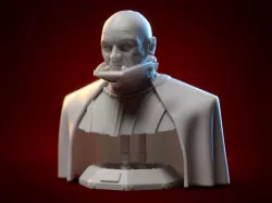 Unmasked Darth Vader Bust
