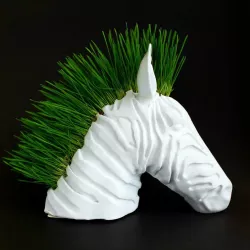 Zebra Planter