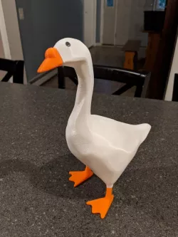 2nd Entitled Goose - Beak