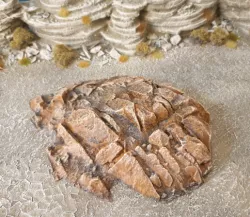 3D scanned rocks from Portugal