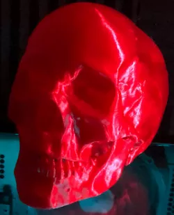 3D Skull