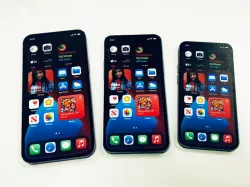 Apple iPhone 12 (all models)