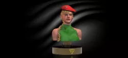Cammy