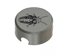 Dubia Roach Hotel