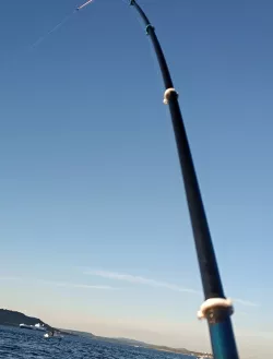 Fishing Rod Fishing Line (reed ring)