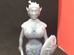 Half Elf Cleric