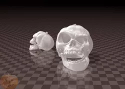 Halloween Pumpkin Skull