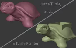 Just a Turtle and Turtle Planter