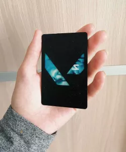 Metro card case