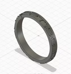 Ring for my DPT100 class