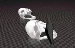 Skull phone stand 