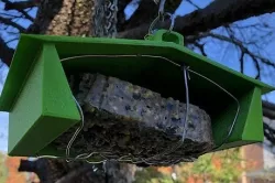 Upside down (squirrel proof?) Suet holder/bird feeder