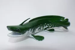 Xenacanthus