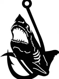 2D Shark Hook