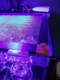 Aquarium Screen Lid Corners