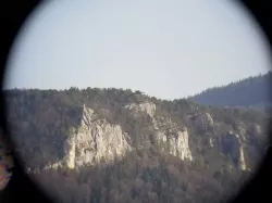 Binoculars/microscope adapter for Samsung Note 8