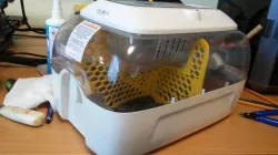 Bruteierteiler - Hatching egg divider
