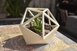 D20 Succulent Planter