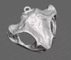 Frog Skull Earrings
