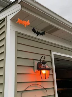 Hinged Bat