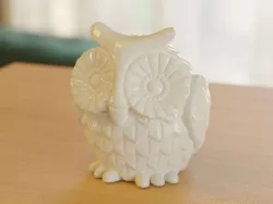 horned owl -pose A-
