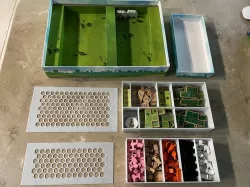 New York Zoo Game Organizer