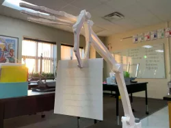 Skellie Helper - The Desk Clamp Skeleton Arm