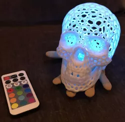 Skull in hand light