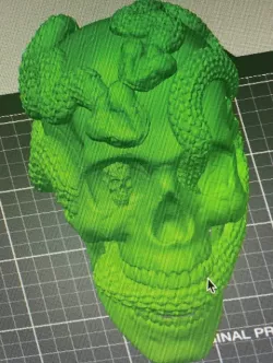 Skulls inside a skull