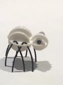 Spooky Halloween Spider