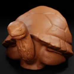 Tortoise
