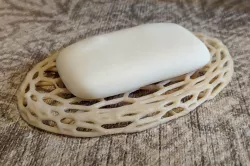 Voronoi cute soap dish